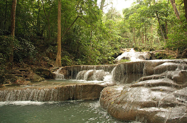 wodospad w dżungli - travel travel locations nature erawan zdjęcia i obrazy z banku zdjęć