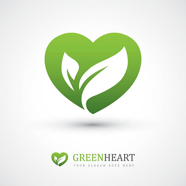 зеленое сердце с листьями - альтернативная медицина stock illustrations