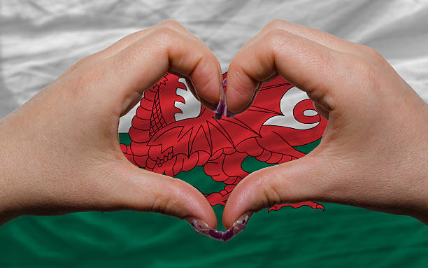 flag of wales showed heart and love gesture stock photo