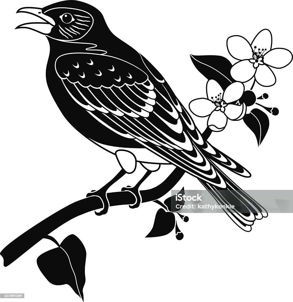 bluebird perched on apple blossom branch A vector illustration of a bluebird perched on apple blossom branch in black and white. An EPS file and a large jpg are included in this download. Bluebird - Bird stock vector