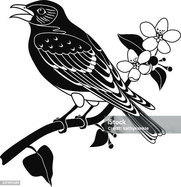 Bluebird Perched On Apple Blossom Branch Stock Illustration - Download Image Now - Bluebird - Bird, New York State, 2015