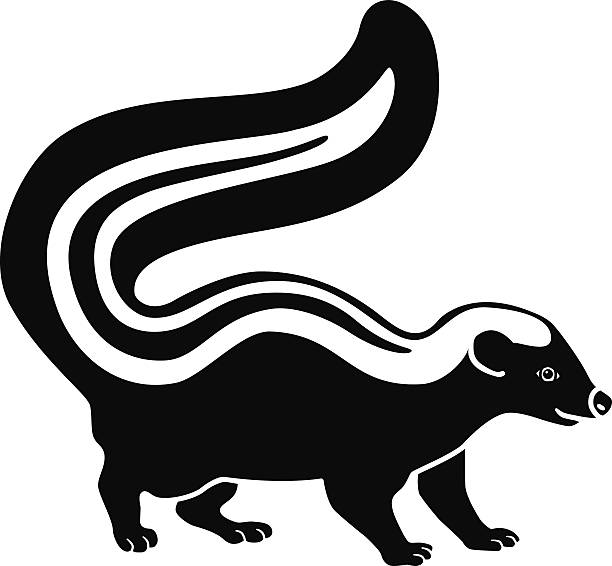 skunks widok z boku czarno-biały - skunk stock illustrations