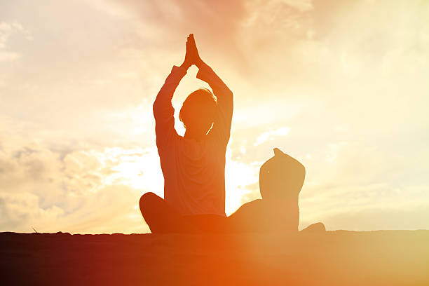 istock father and little daughter doing yoga at sunset 537891928