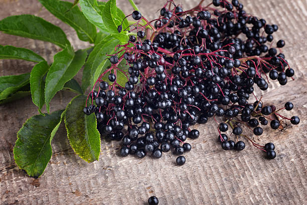 istock Elderberry on wooden background 537894359