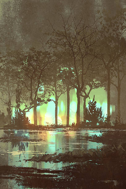 mysterious dark forest with mystic light at night mysterious dark forest with mystic light at night,illustration digital painting painting art product stock illustrations