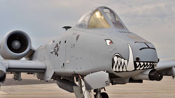 An A-10 Warthog/Thunderbolt II Tampa, USA - March 18, 2016: An Air Force A-10 Warthog/Thunderbolt II fighter jet parked on a runway in Tampa, FL in March 2016. This A-10 attack jet belongs to the 442nd Fighter Wing of Air Force Reserve Command (AFRC). a10 warthog stock pictures, royalty-free photos & images