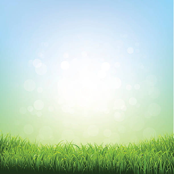 ilustrações de stock, clip art, desenhos animados e ícones de primavera de pasto - grass vector meadow spring