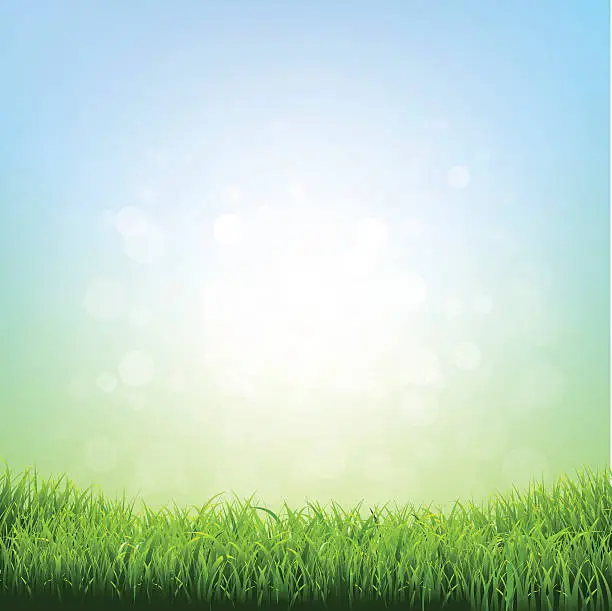 Vector illustration of Spring Grass