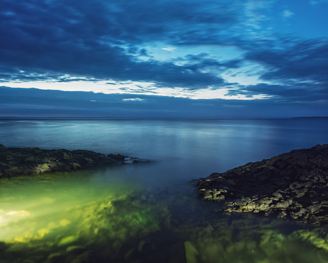 Thin, green seaweed is illuminated under twilight skies in the Bay of Fundy.  Long exposure.