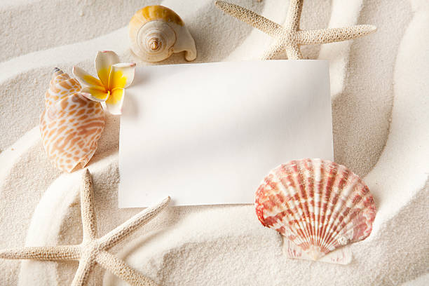 istock Blank paper and starfish and and shells on sand 537902040