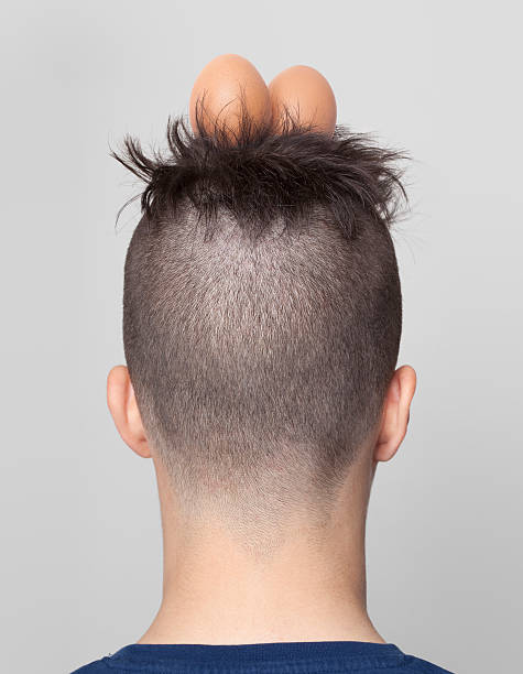 39,503 Crazy Hairstyle Stock Photos, Pictures & Royalty-Free Images -  iStock | Mohawk, Big hair, Haircut
