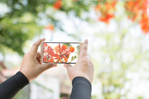 istock The camera on the phone, Technology makes taking pictures easier 537904130