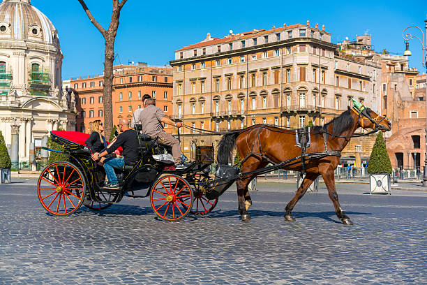 Rome, Italy - February 24, 2016: A horse-pulled carriage carrying passengers seen in the streets of Rome, Italy.