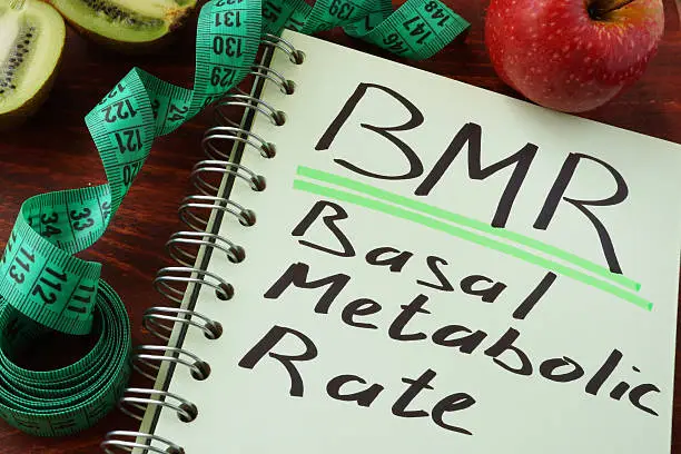 Photo of BMR Basal metabolic rate written on a notepad sheet.