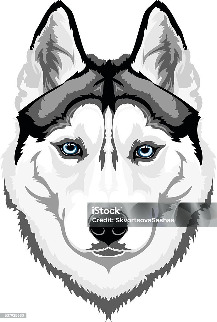 Siberian Husky Vector head intelligent dog breed Siberian Husky Husky Dog stock vector