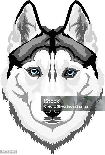 Siberian Husky Stock Illustration - Download Image Now - Husky Dog, Siberian Husky, Animal Head
