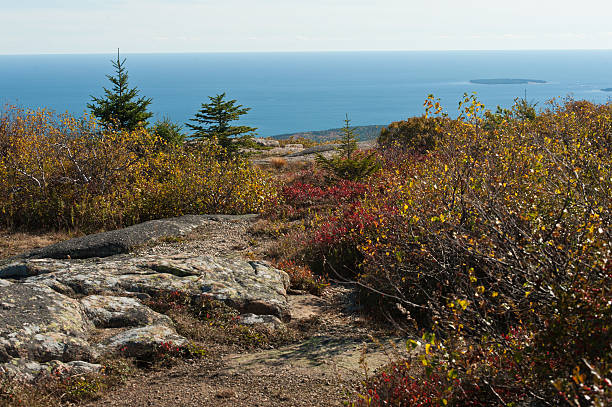 istock Cadillac Mountain, Acadia National Park 537926287