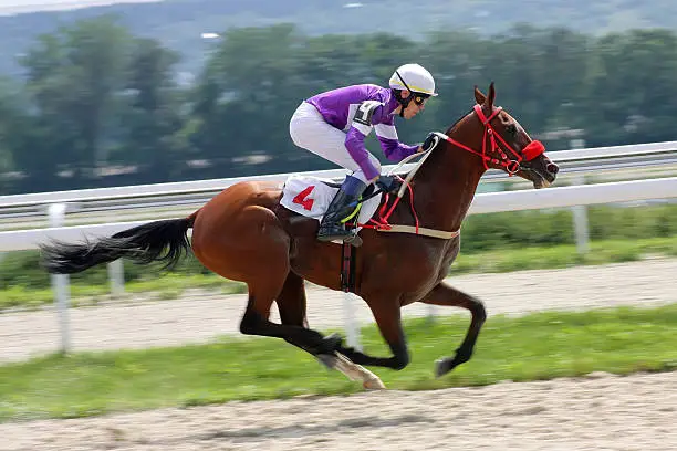 Jockey and bay akhal-teke stallion Demir-Tay race for the prize of Gundogara in Pyatigorsk, Russia. 