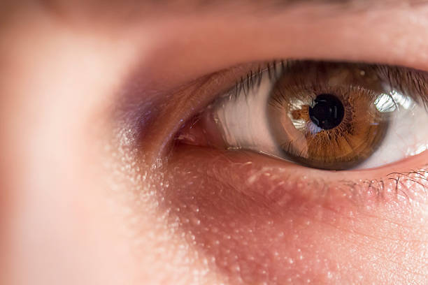 istock Close Up of Human Eye 537954283