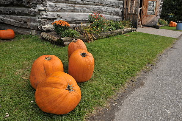 istock Pumpkins in House 537955153