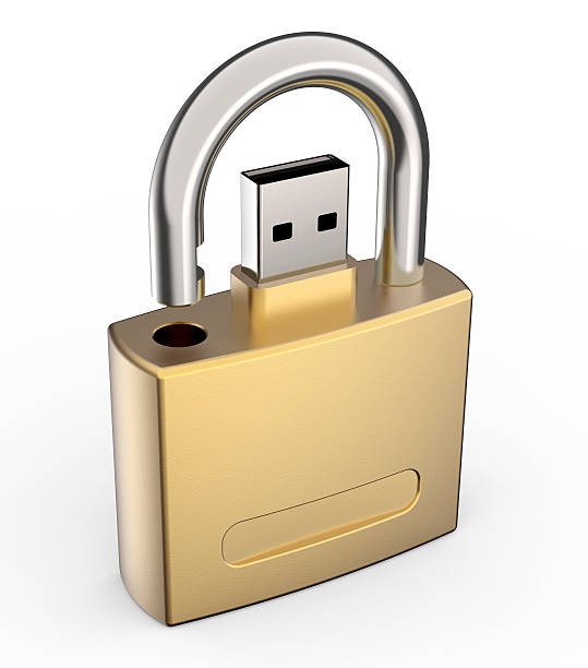 zamocować dysk usb data - encryption usb flash drive security system security zdjęcia i obrazy z banku zdjęć