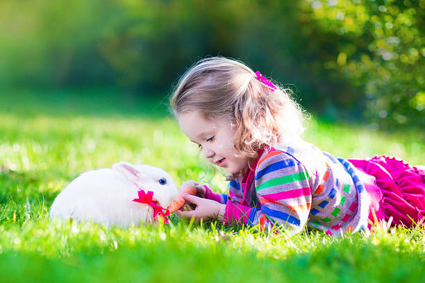 istock Beautiful little girl and real rabbit 537956857