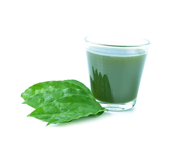 istock Bai-ya-nang - water, juice Yanang. 537972887