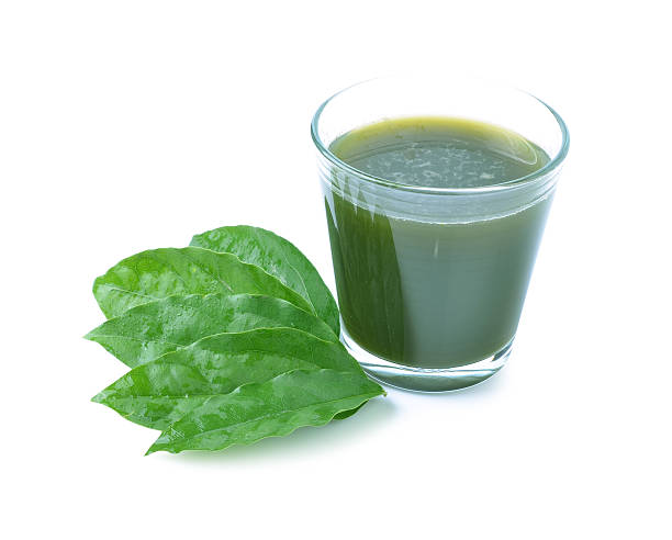 istock Bai-ya-nang - water, juice Yanang. 537972889