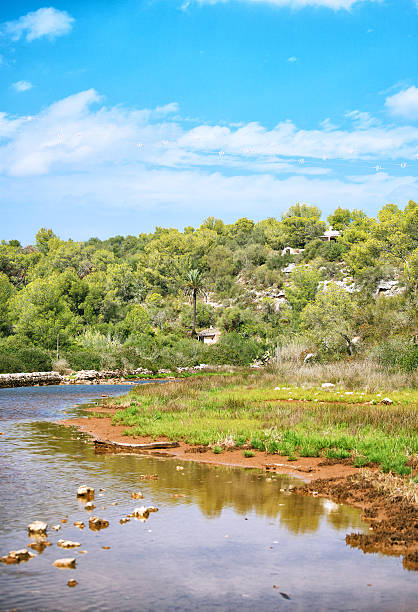 istock View of tropical landscape with pond. 537974149