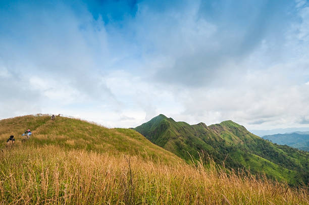 istock mountains green grass and blue sky landscape 537974247