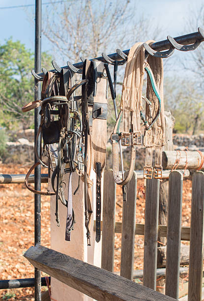 istock Horse bridles and other equipment in the stable. 537974801