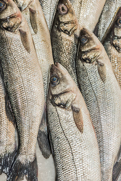 fresh bass fish on fisher table stock photo