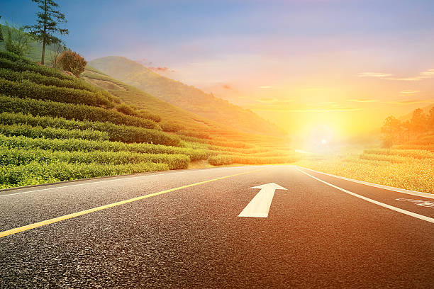 istock road through the tea garden 537975437
