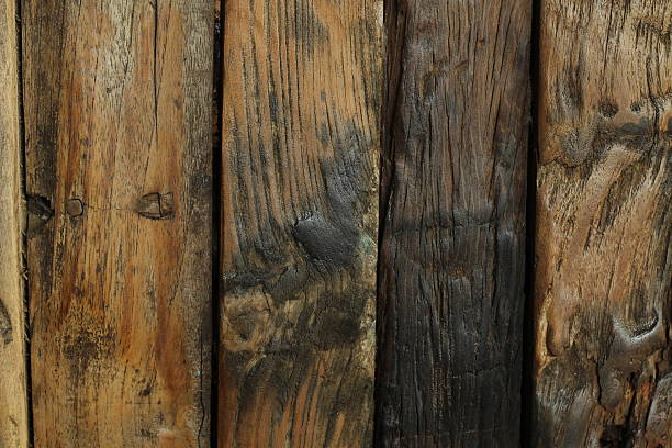 istock close up of Wood Texture Background 537975815