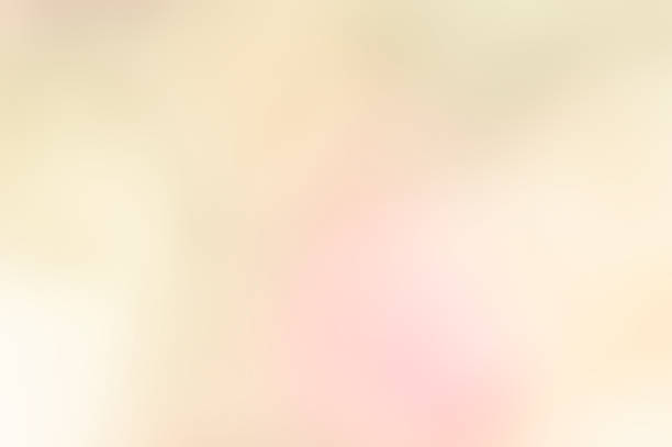 istock blurred flower background in the morning 537985879
