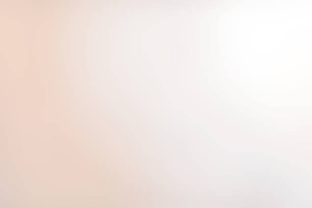 istock blurred flower background in the morning 537986261