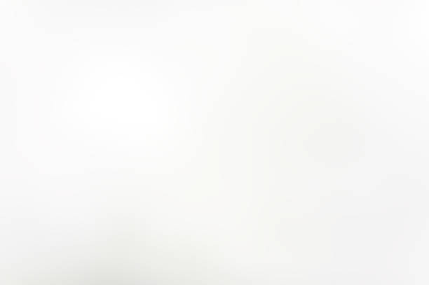 istock blurred flower background in the morning 537986379