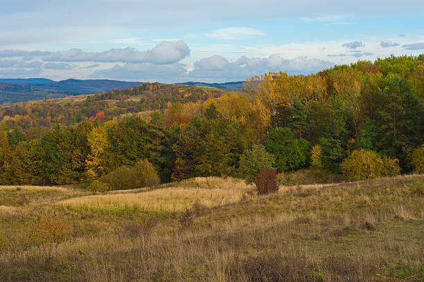 istock Paints of autumn 537989337