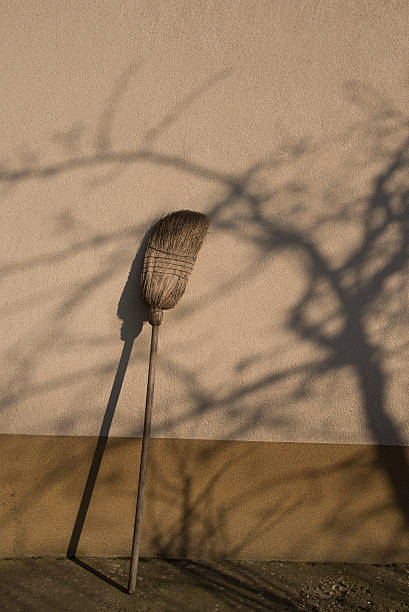 istock Broom in the garden 538011847