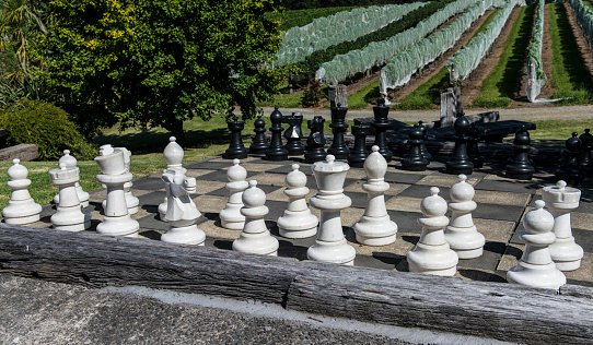 Large chess pieces at a vineyard