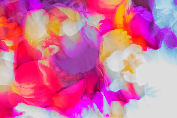 leuchtende farben pantones - blüte fotos stock-fotos und bilder