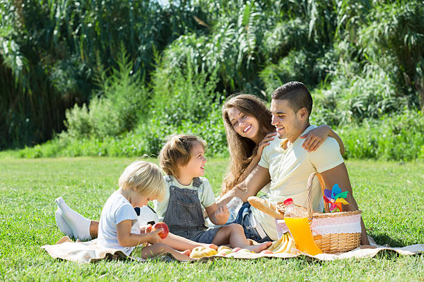 istock Family of four having picnic 538014751