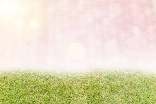 istock grass field and colorful background 538014919