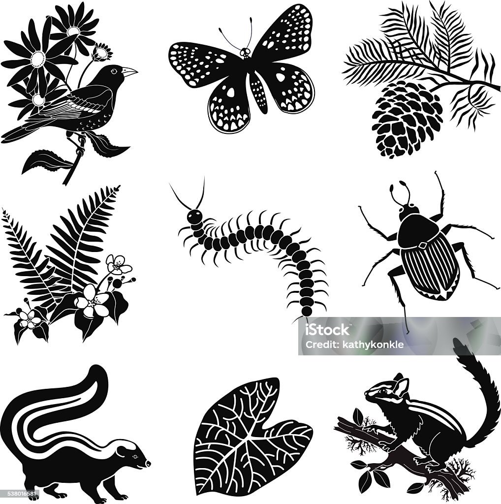 North American forest wildlife icon set in black and white A vector illustration of a North American forest wildlife icon set in black and white. An EPS file and a large jpg are included in this download. Black-Eyed Susan stock vector