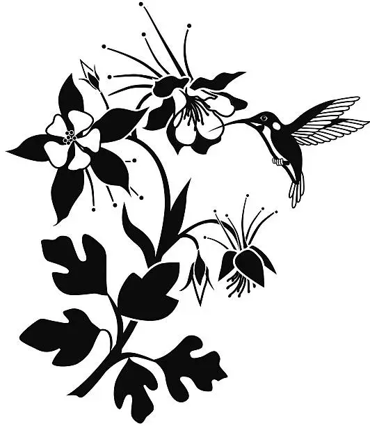 Vector illustration of columbine flowering plant with hummingbird in black and white