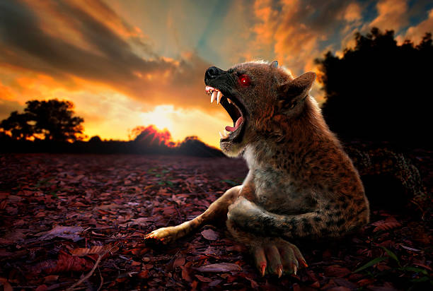 istock Chupacabra Graphic Arts Imagination from Photographic Digital Manipulation 538025008