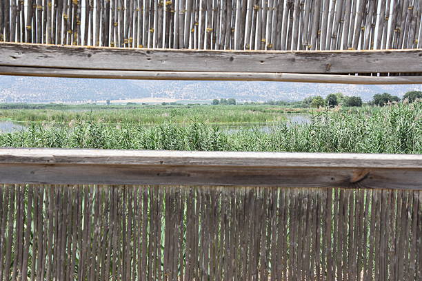 Hula Nature Reserve, Israel