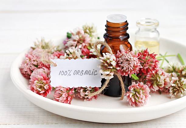 istock clover herbal organic beauty care product 538027766
