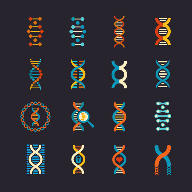 DNA