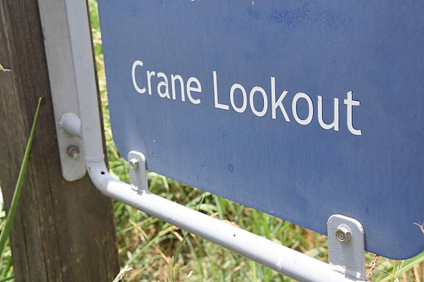 istock crane Lookout Sign 538028786